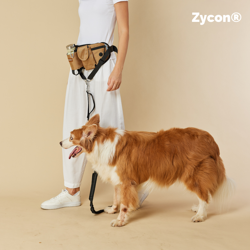 Zycon® Alles-in-één hondenuitlaattas