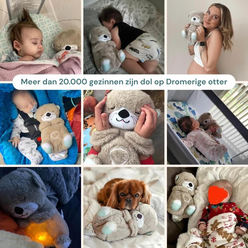 De Dromerige Otter