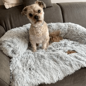 Origineel Zycon® kalmerend bed