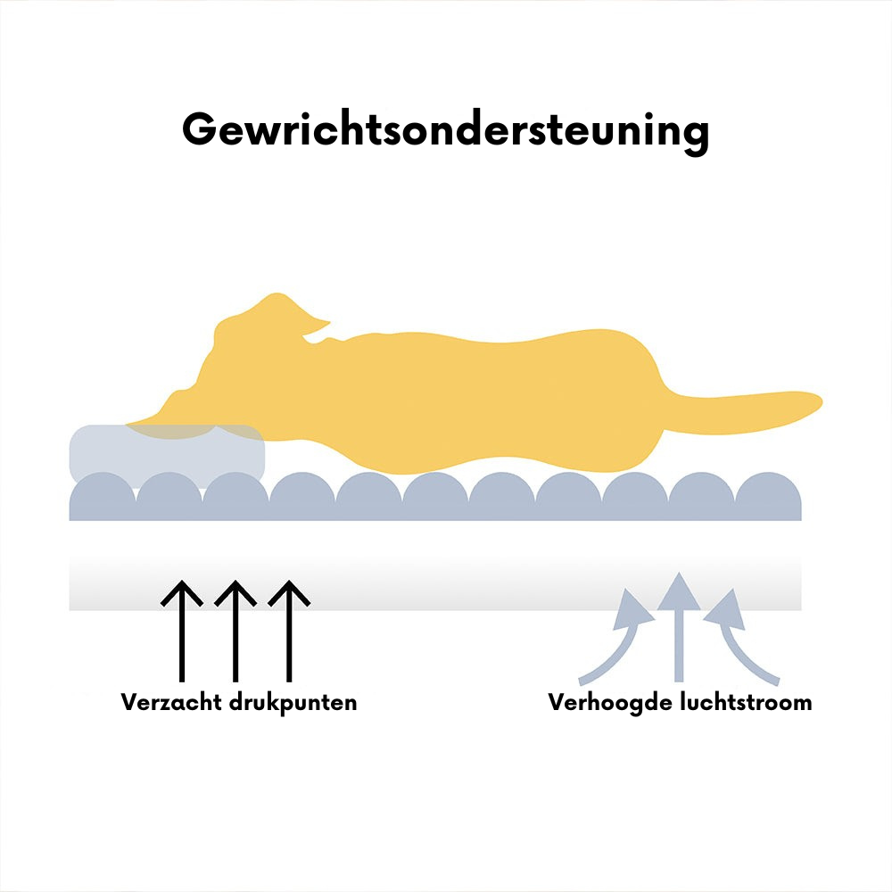 Groot wasbaar zacht orthopedisch hondenkussen Hondensofa-Snoozy Dream