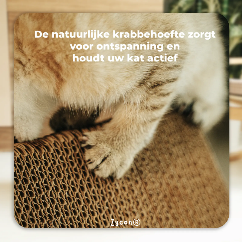 Zycon® | Luxe krasbank Tux Small – Driehoekig model Kraskarton Licht