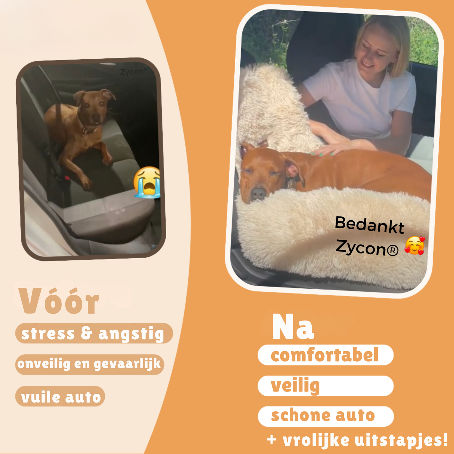 Zycon® Beschermende autobed 2.0