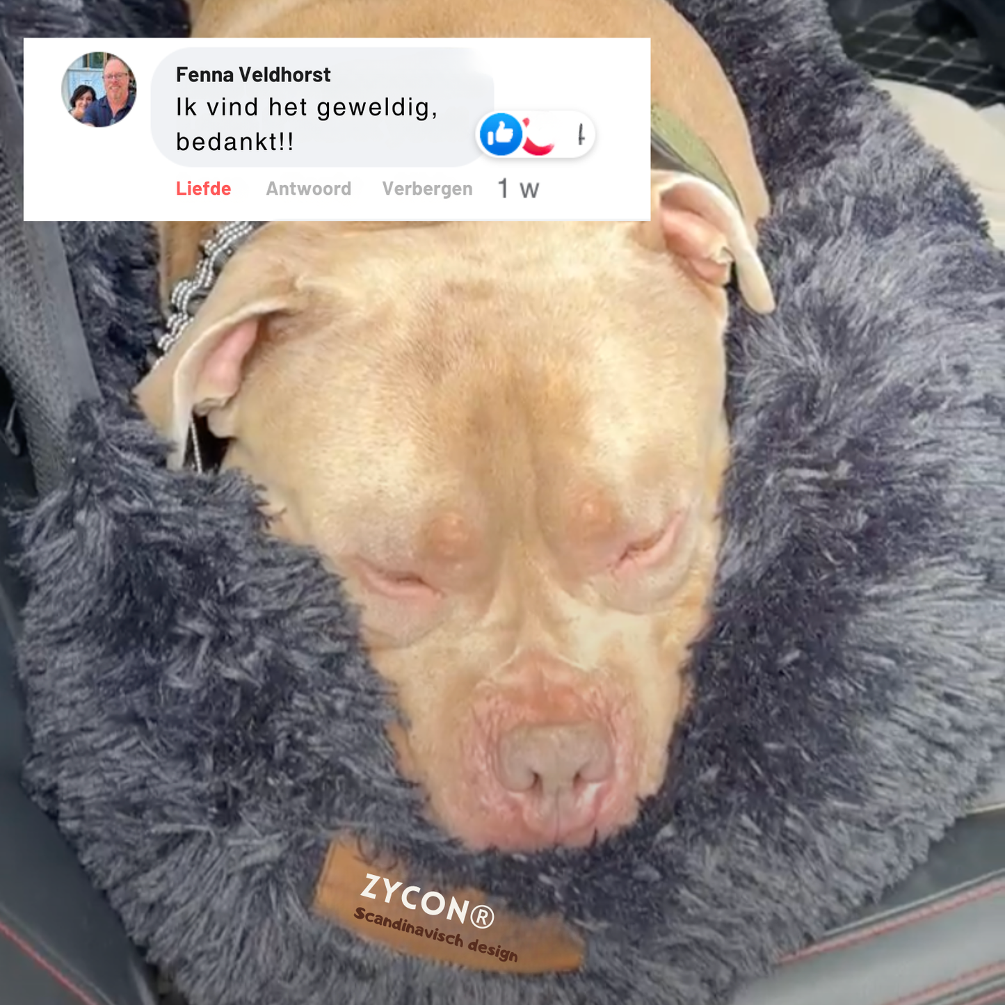 Zycon® Beschermende autobed 2.0