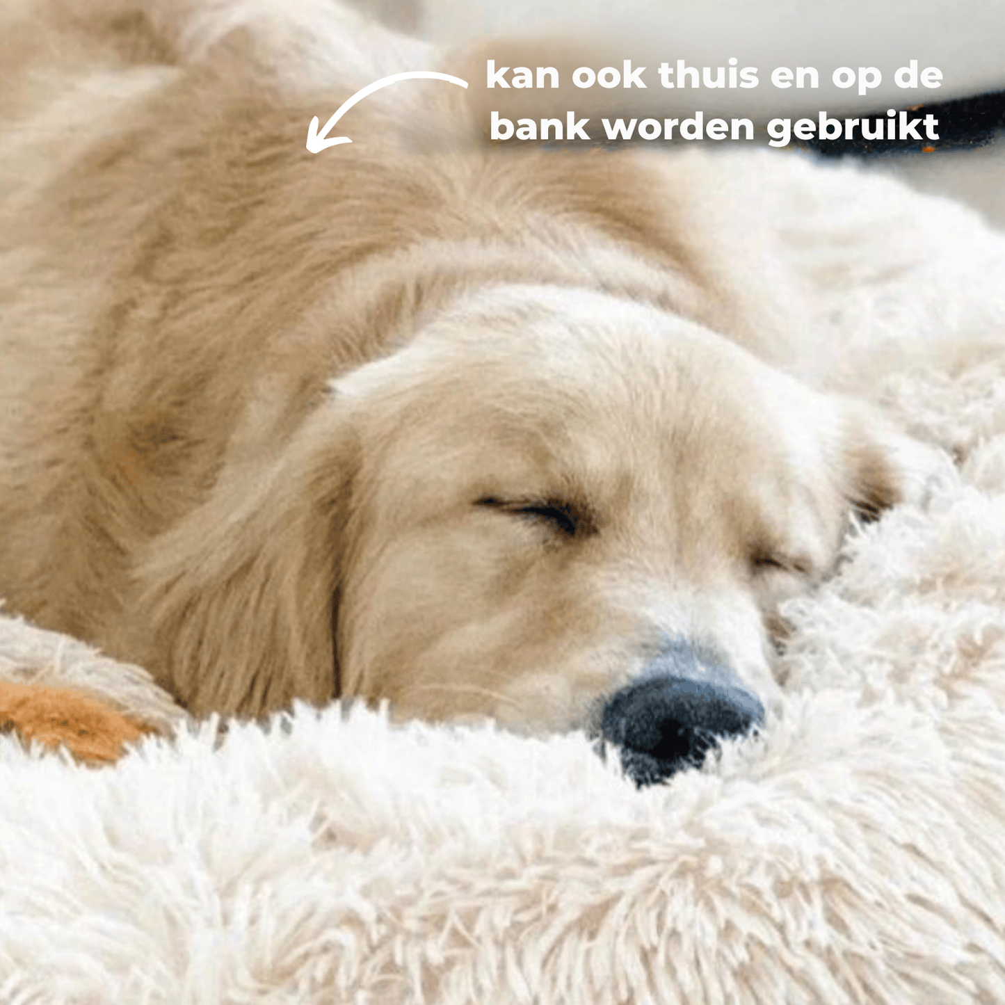 Zycon® Beschermende autobed 2.0