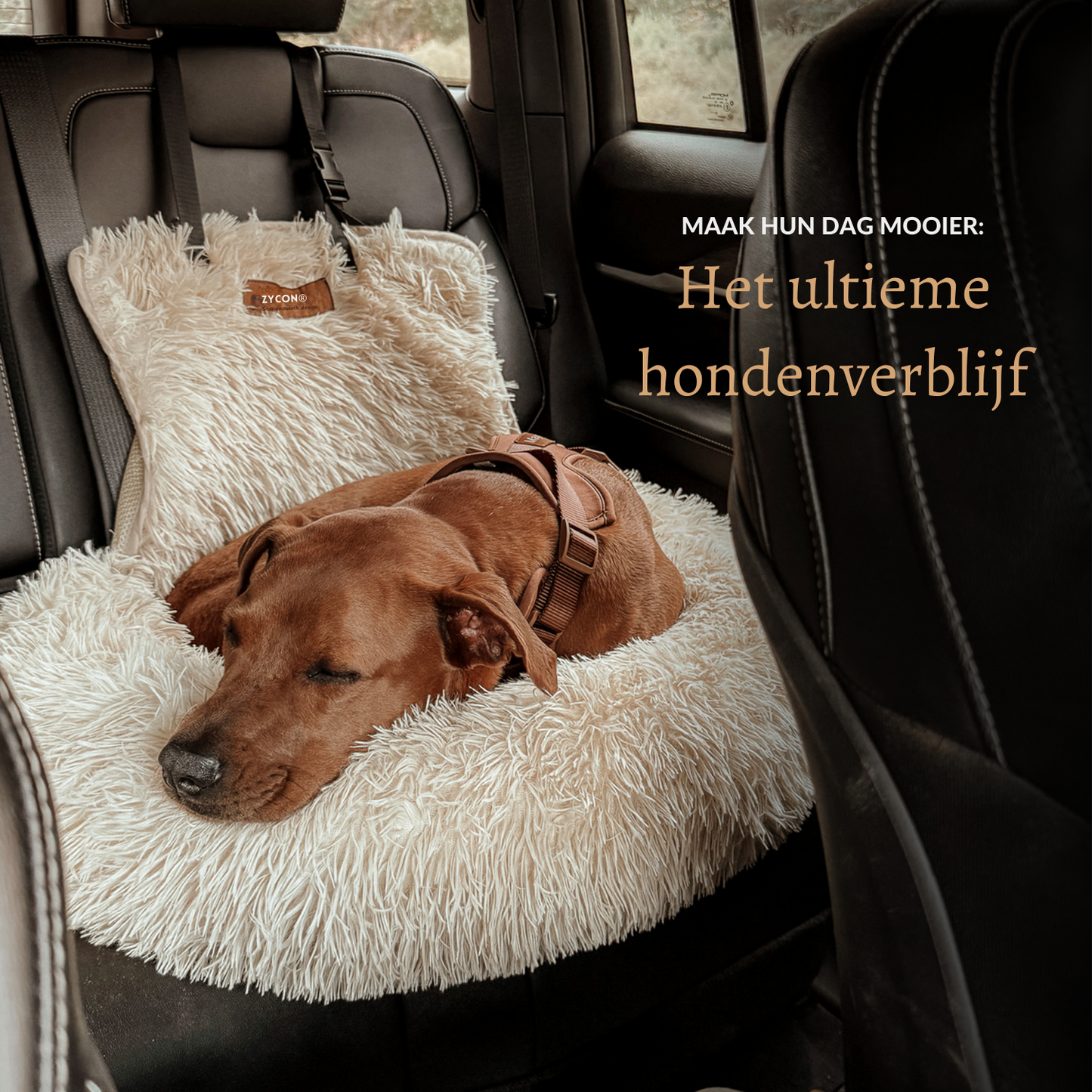 Zycon® Beschermende autobed 2.0