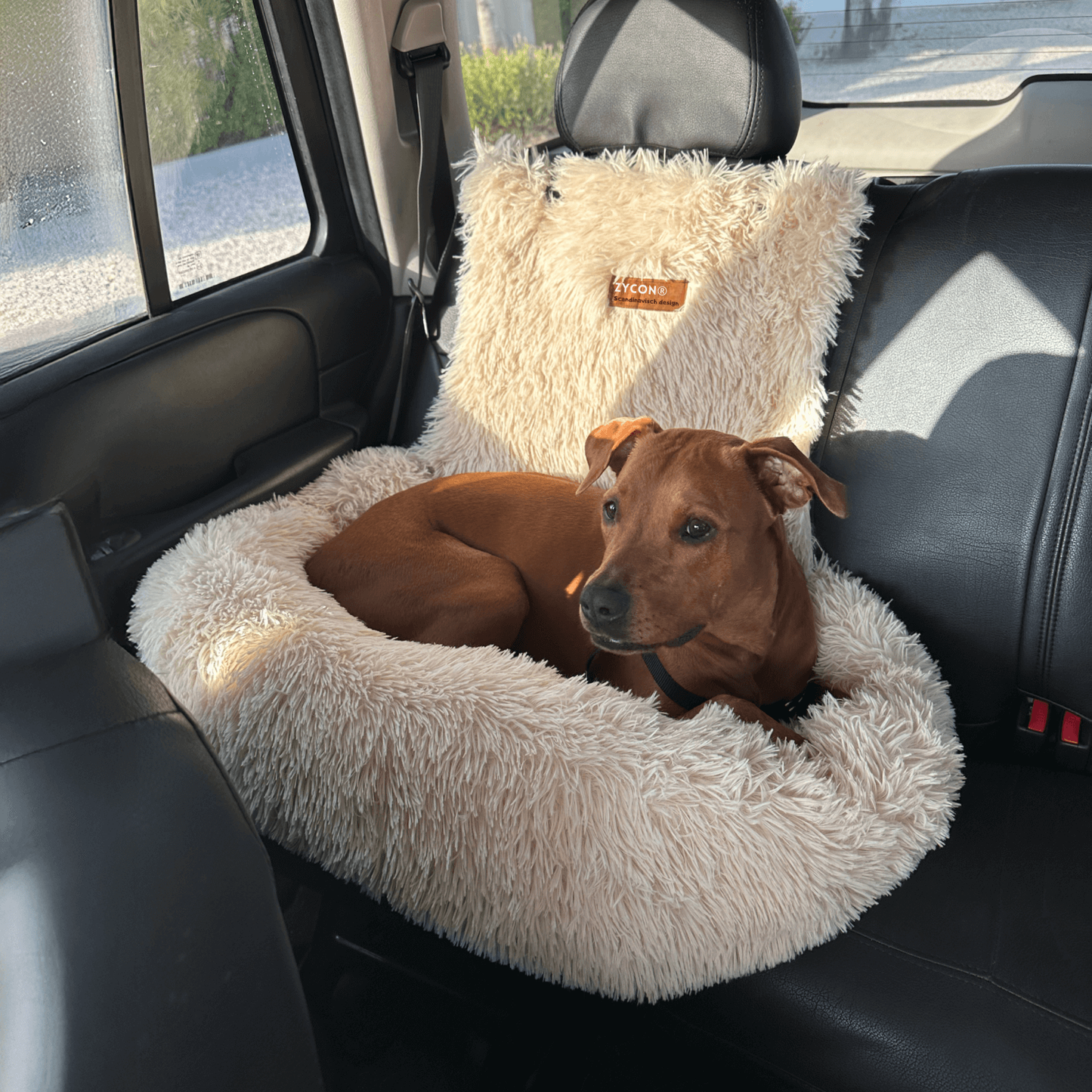 Zycon® Beschermende autobed 2.0