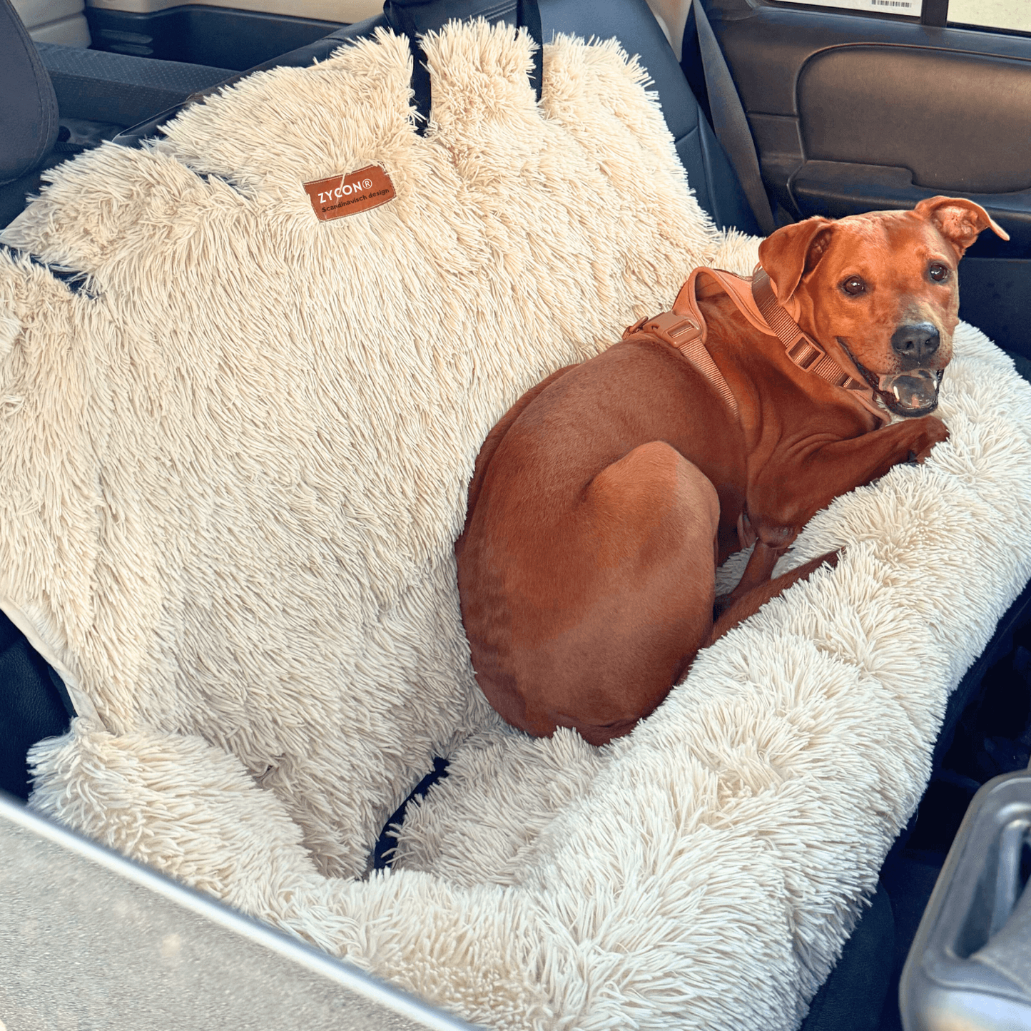 Zycon® Beschermende autobed 2.0