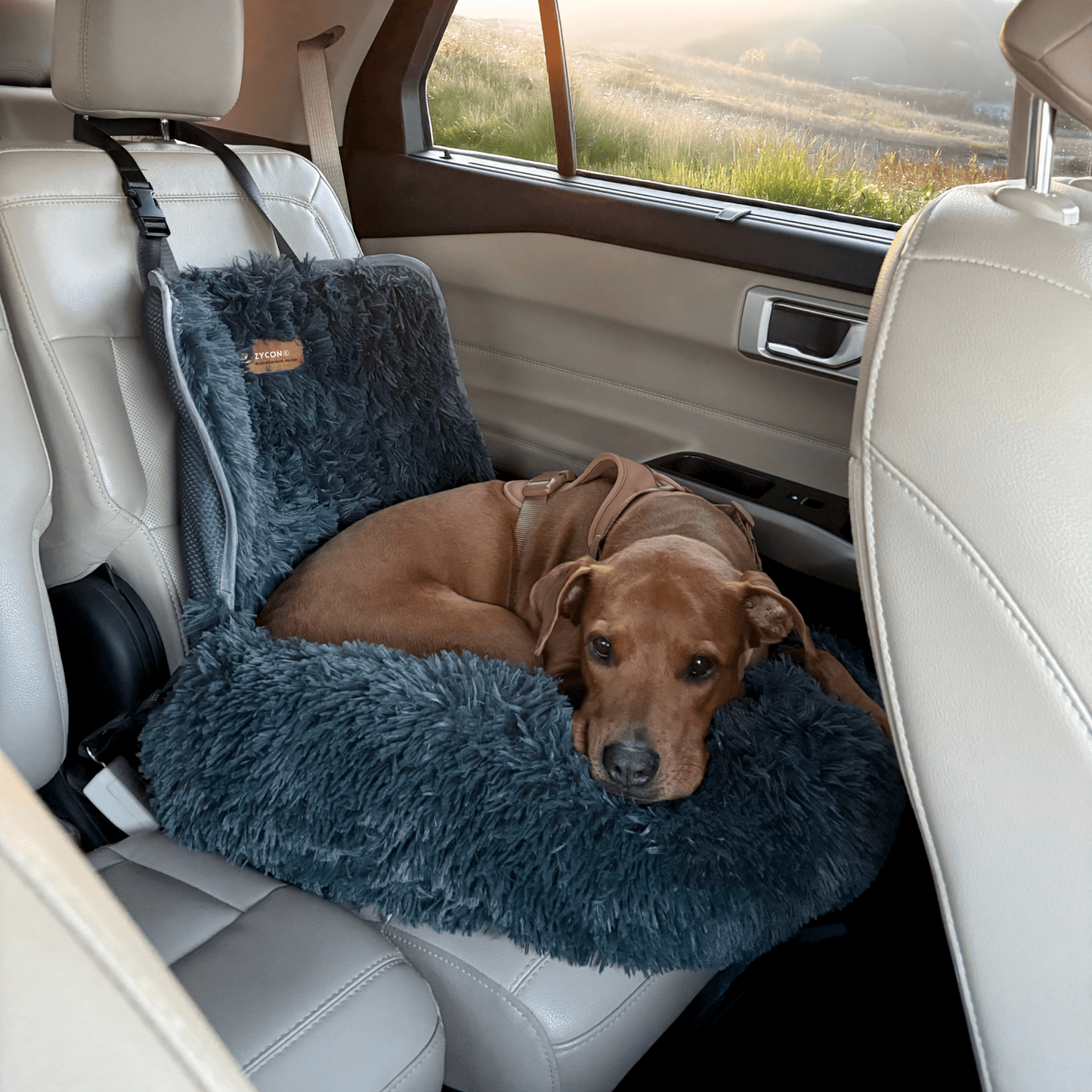 Zycon® Beschermende autobed 2.0