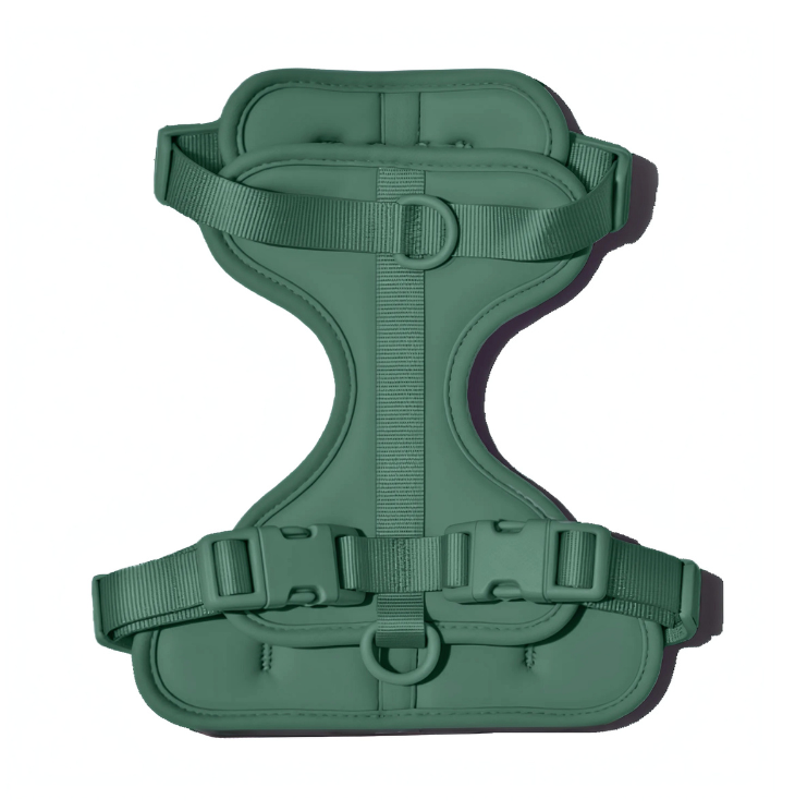 Zycon® Techel - Riem