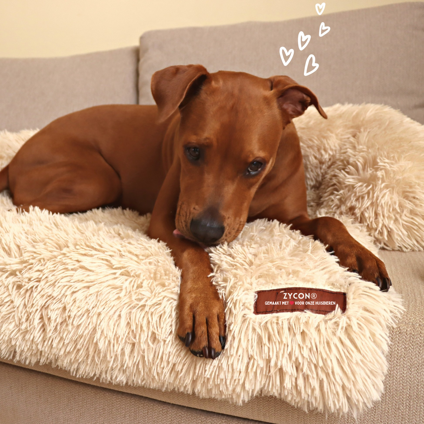 Origineel Zycon® kalmerend bed