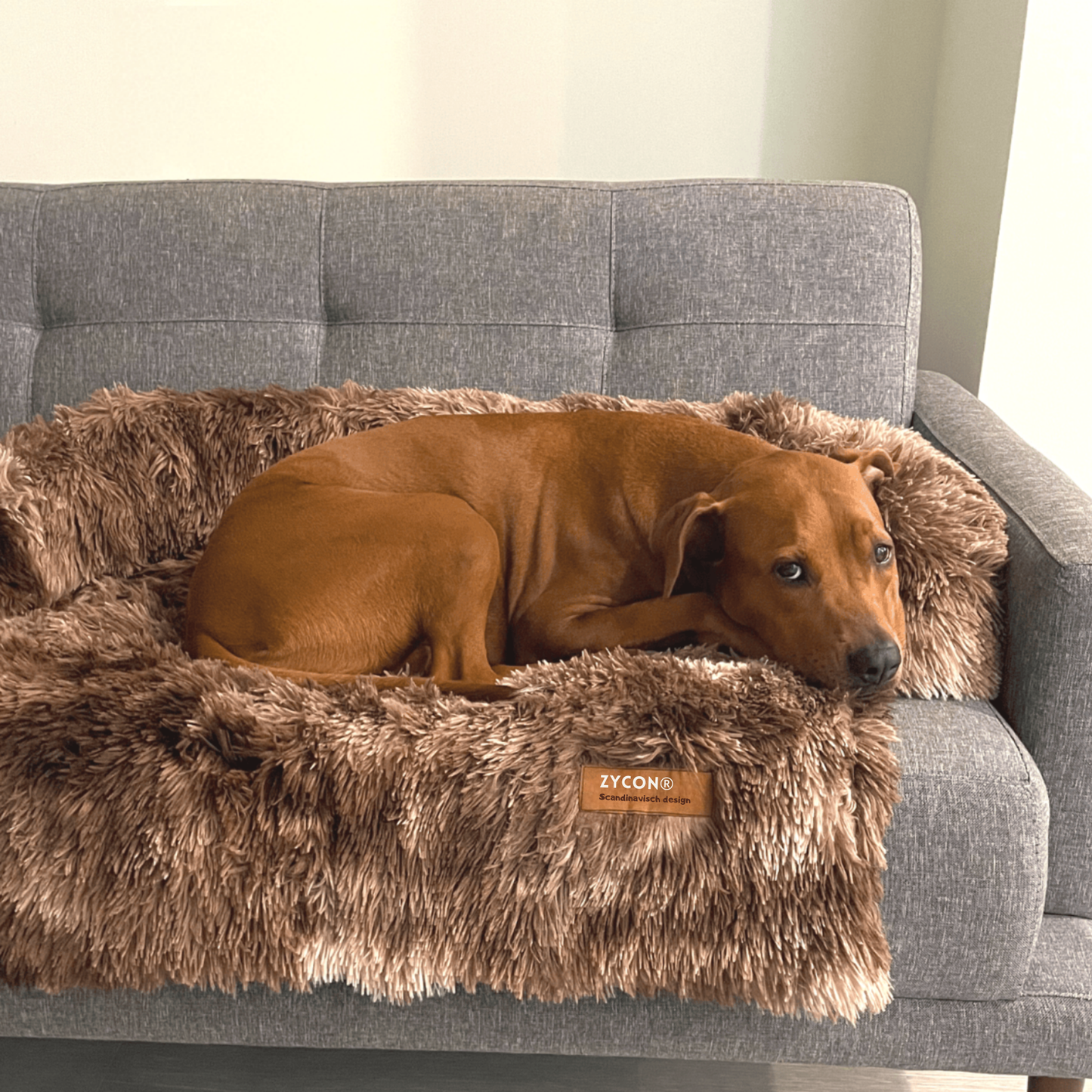 Origineel Zycon® kalmerend bed