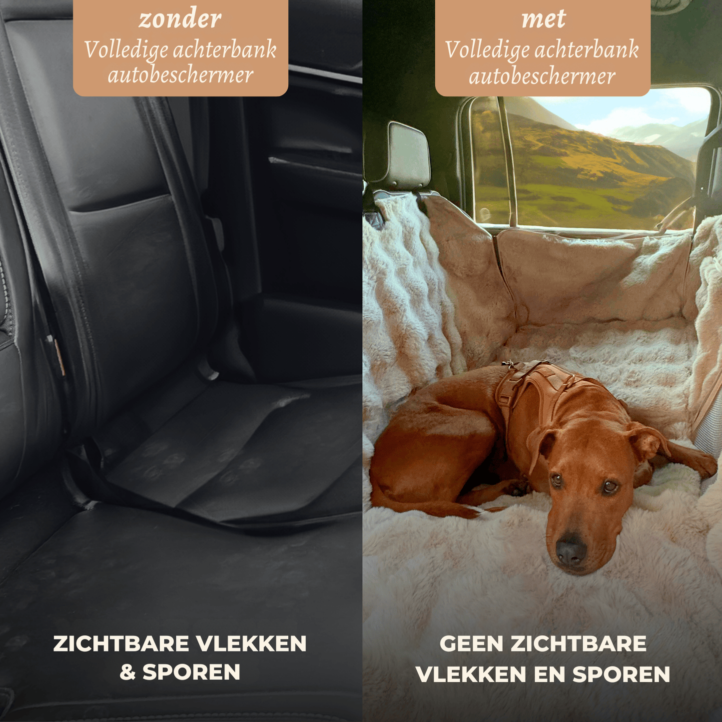 Luxe volledige achterbankbeschermer + gratis kalmerende deken