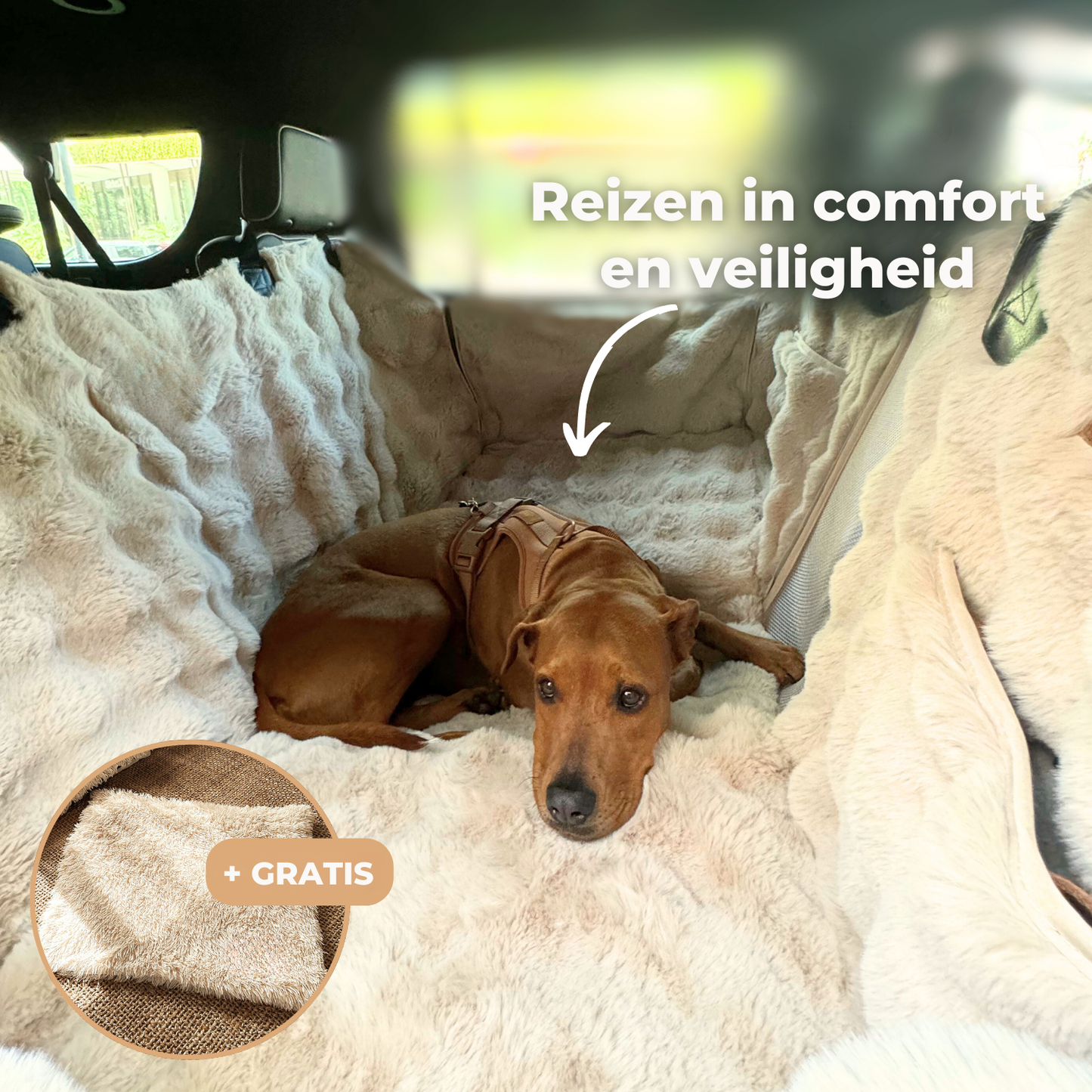 Luxe volledige achterbankbeschermer + gratis kalmerende deken