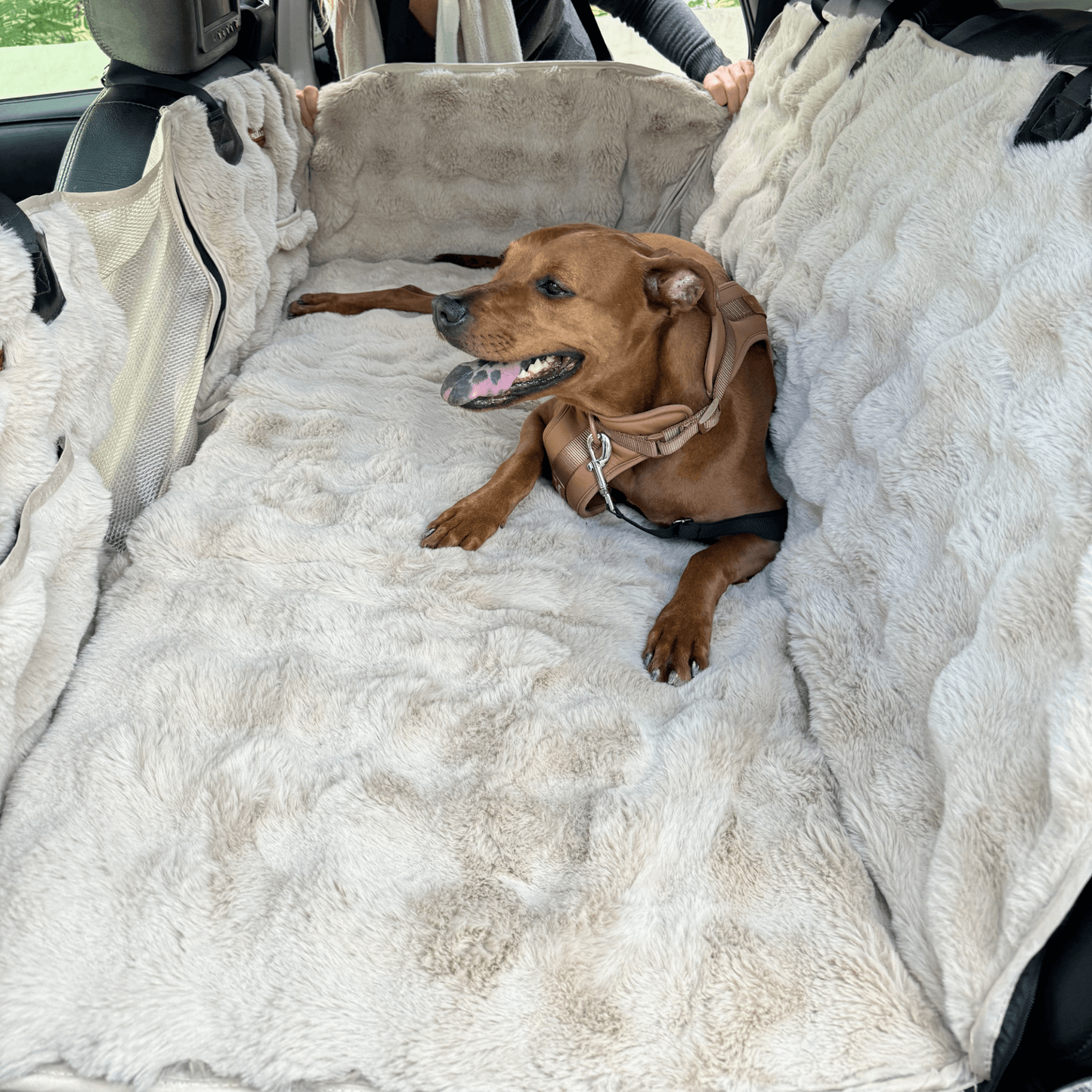 Luxe volledige achterbankbeschermer + gratis kalmerende deken