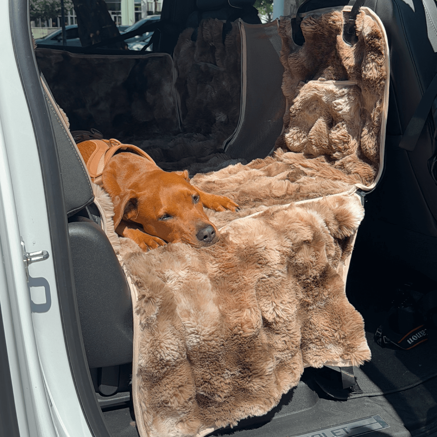 Luxe volledige achterbankbeschermer + gratis kalmerende deken