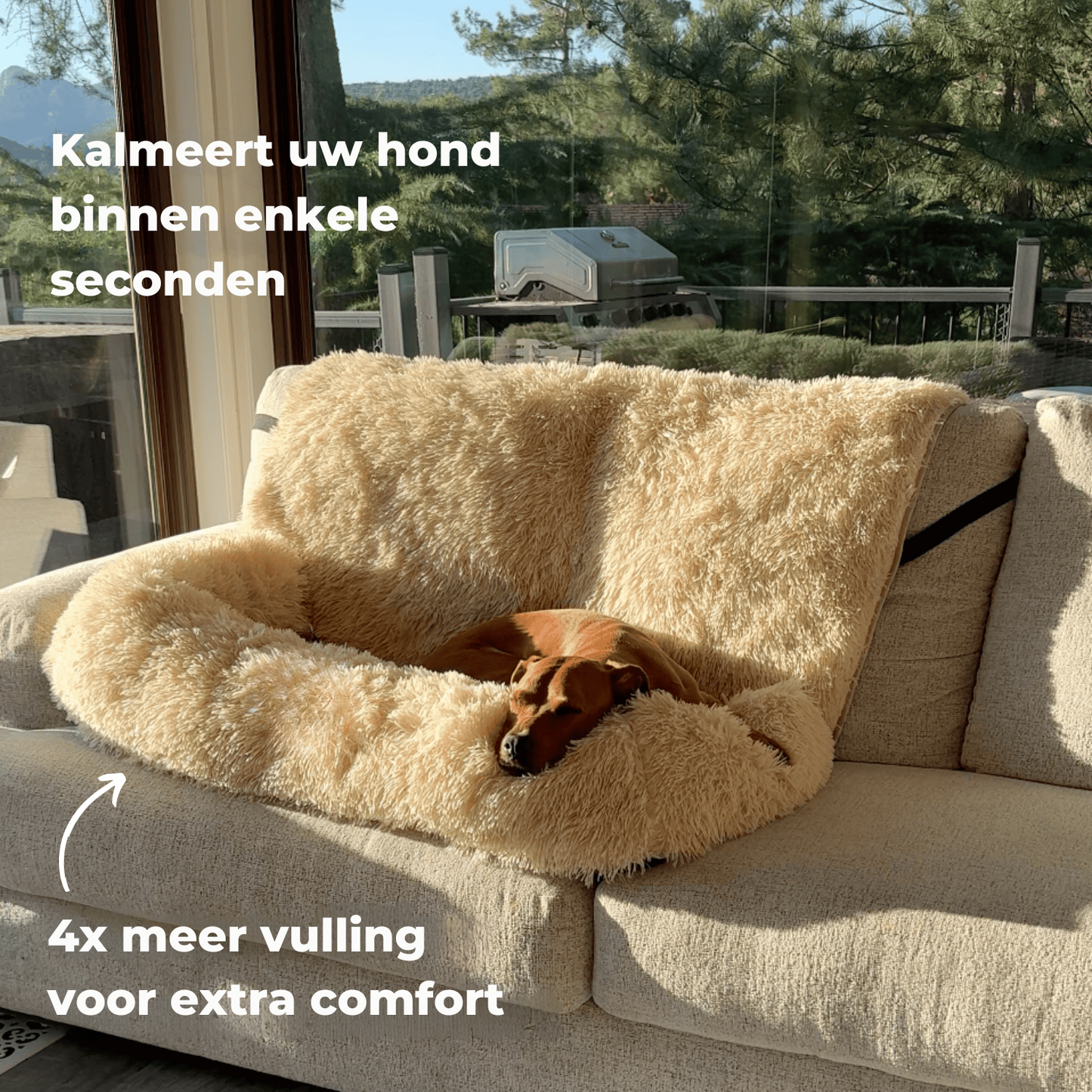 Comfortabel nest: de nieuwe beste vriend van uw hond