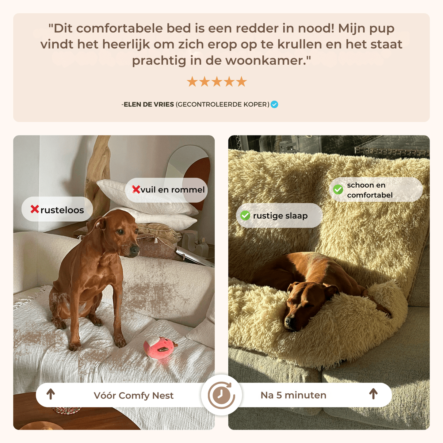 Comfortabel nest: de nieuwe beste vriend van uw hond