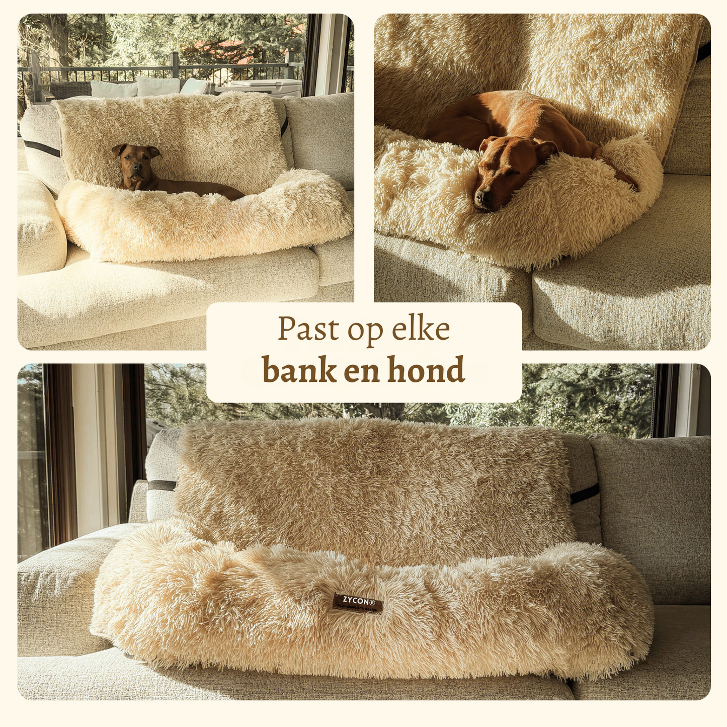 Comfortabel nest: de nieuwe beste vriend van uw hond