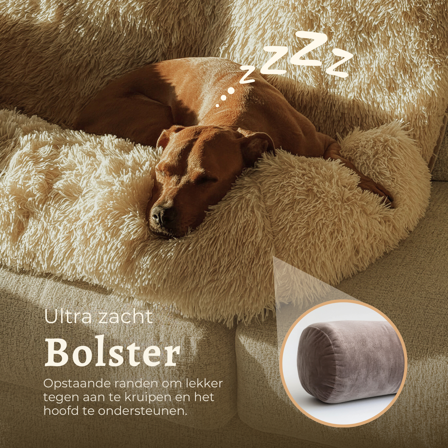 Comfortabel nest: de nieuwe beste vriend van uw hond