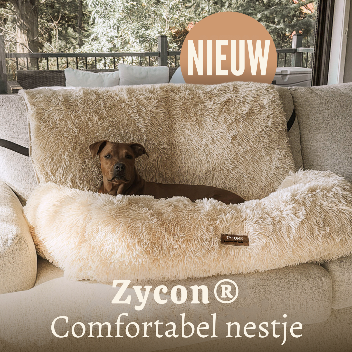 Comfortabel nest: de nieuwe beste vriend van uw hond