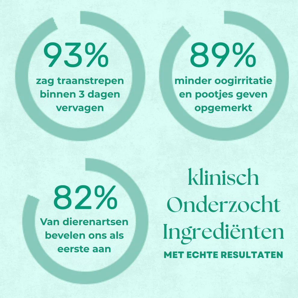 Zycon® Schuim voor het bleken en ontgeuren van huisdieren
