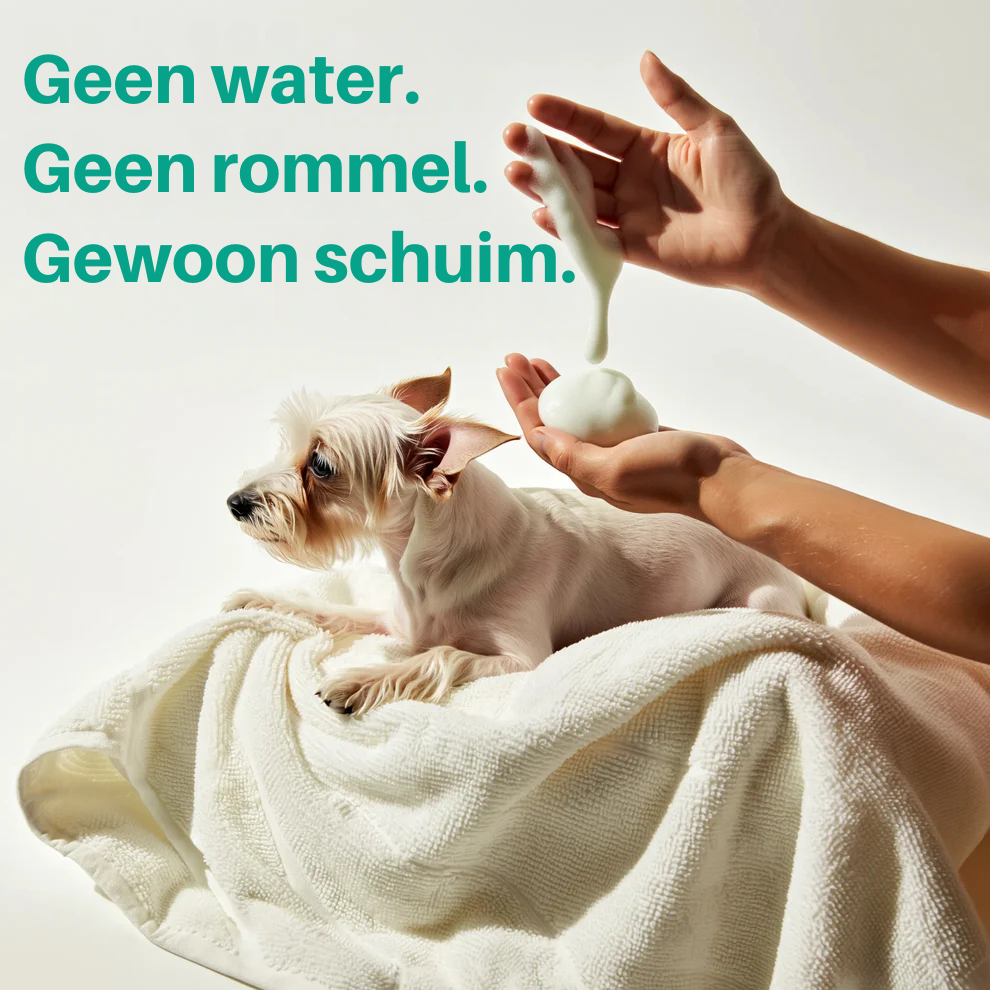 Zycon® Schuim voor het bleken en ontgeuren van huisdieren