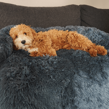 Origineel Zycon® kalmerend bed