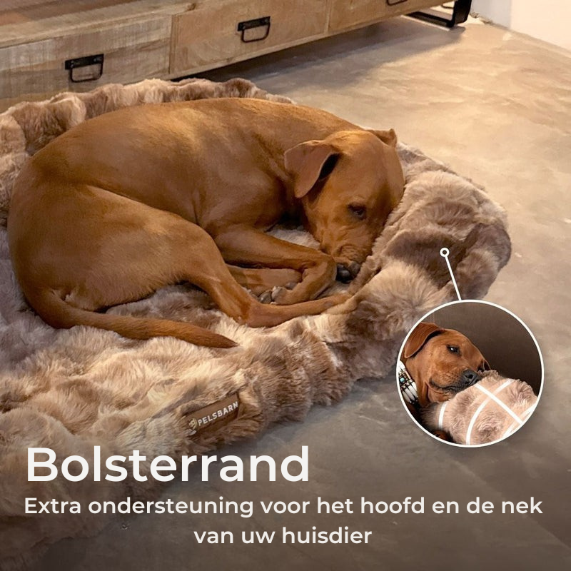 Luxe orthopedisch bed