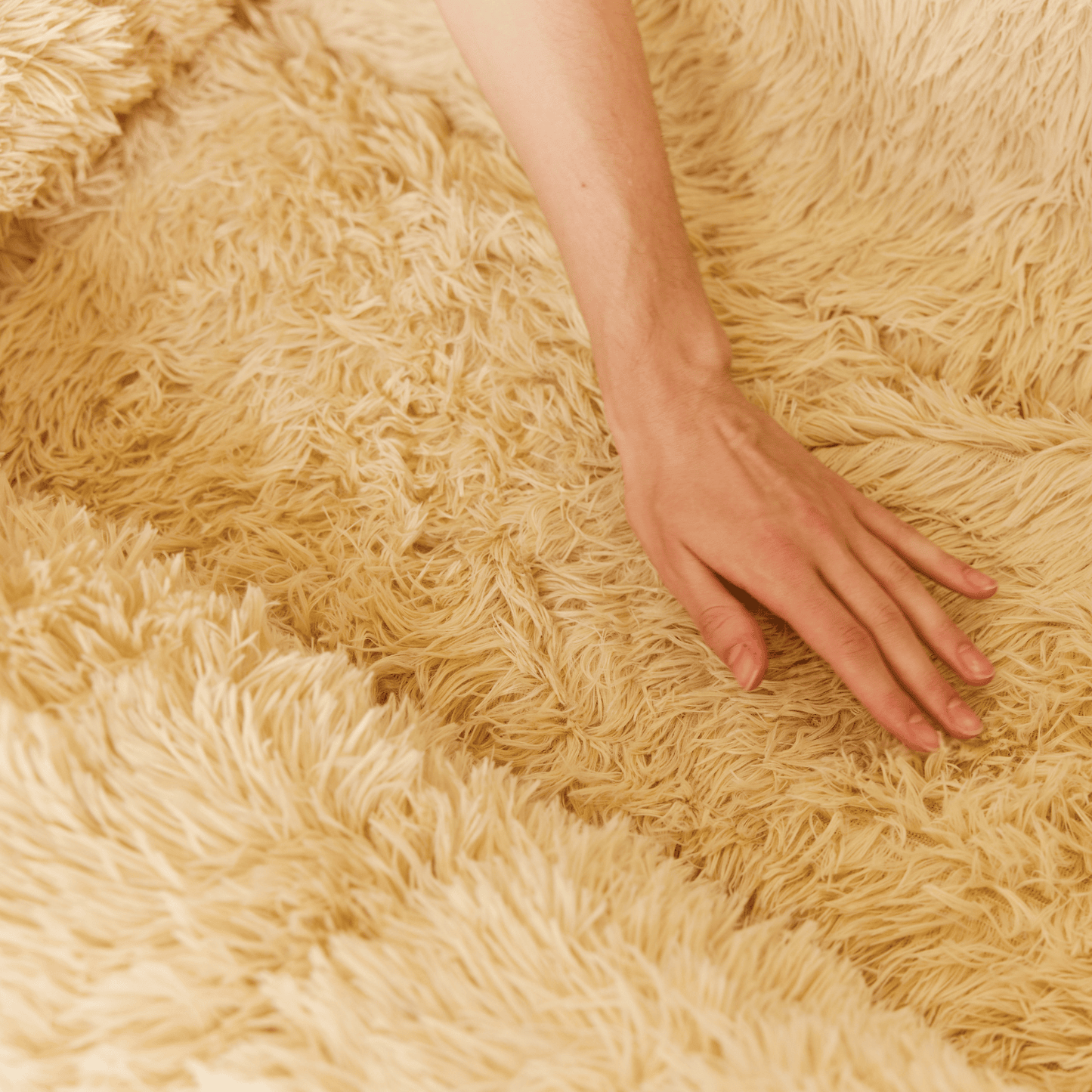 Comfortabel nest: de nieuwe beste vriend van uw hond