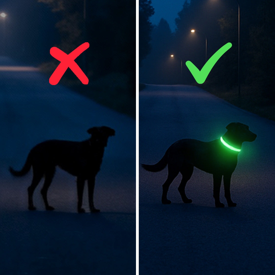 Lichtgevende hondenhalsband