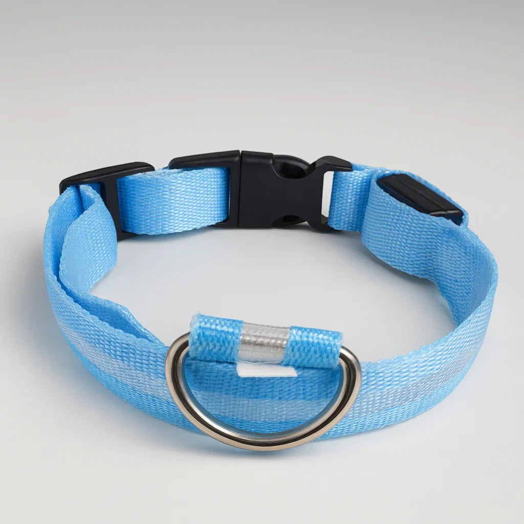 Lichtgevende hondenhalsband