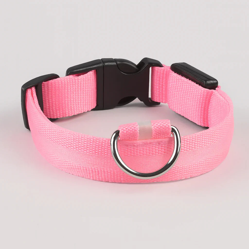 Lichtgevende hondenhalsband