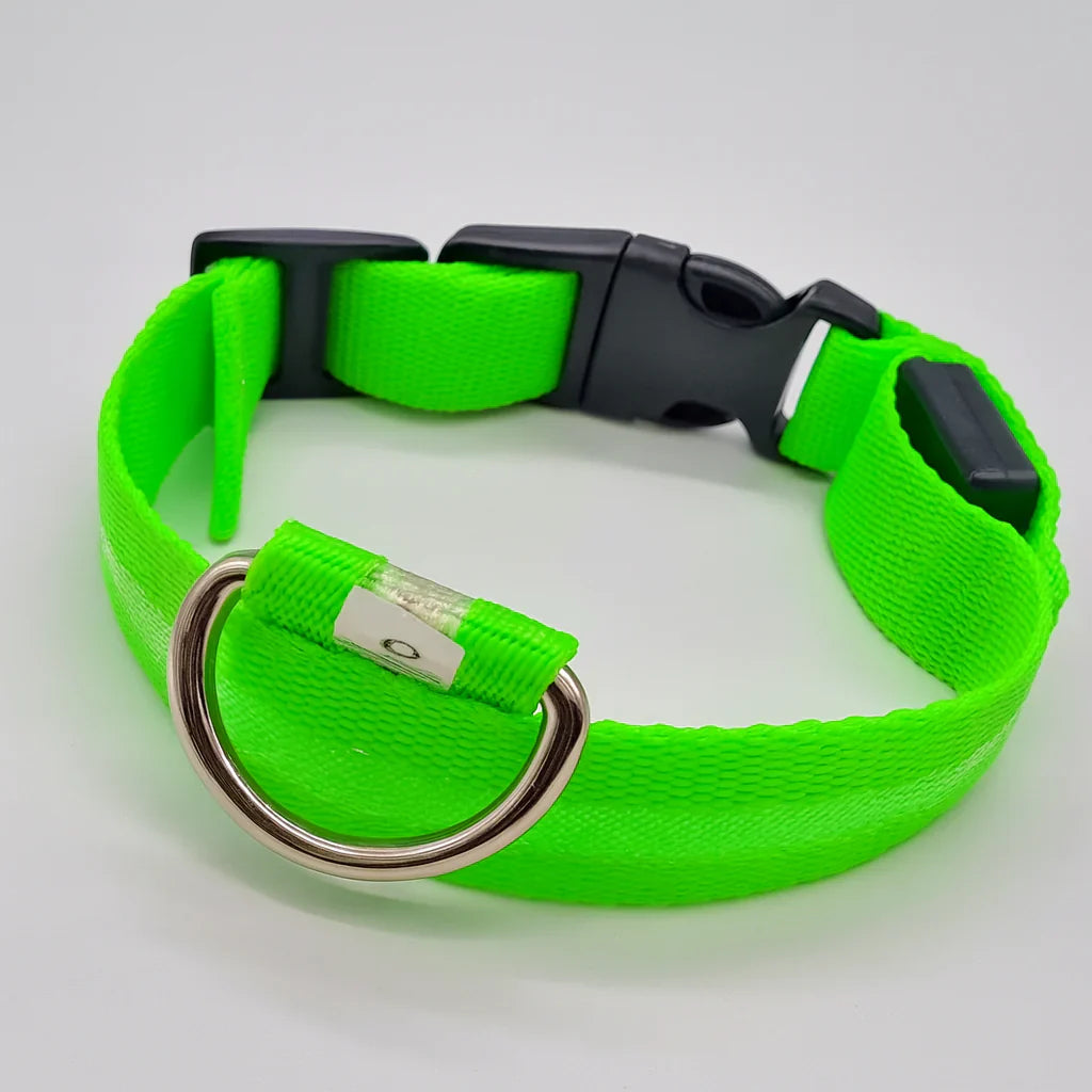 Lichtgevende hondenhalsband