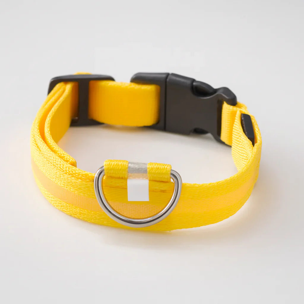 Lichtgevende hondenhalsband