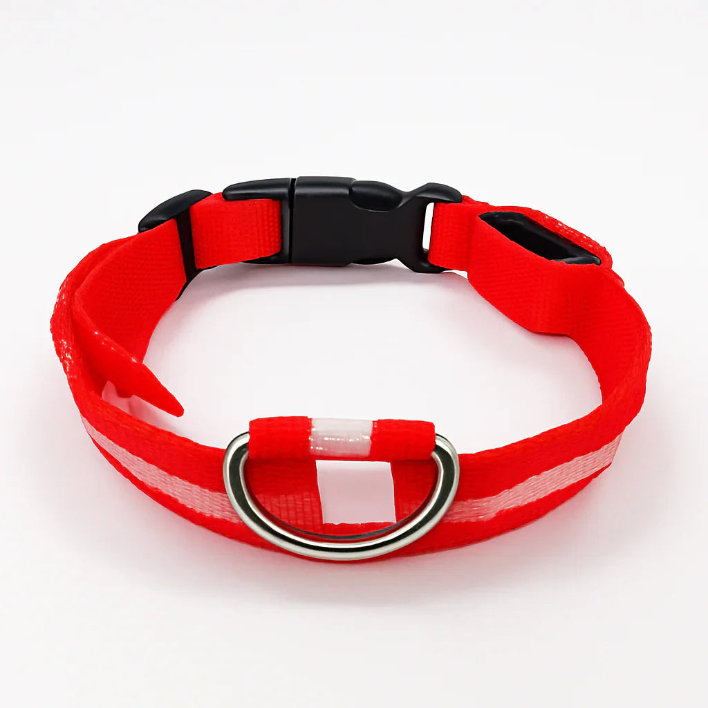 Lichtgevende hondenhalsband