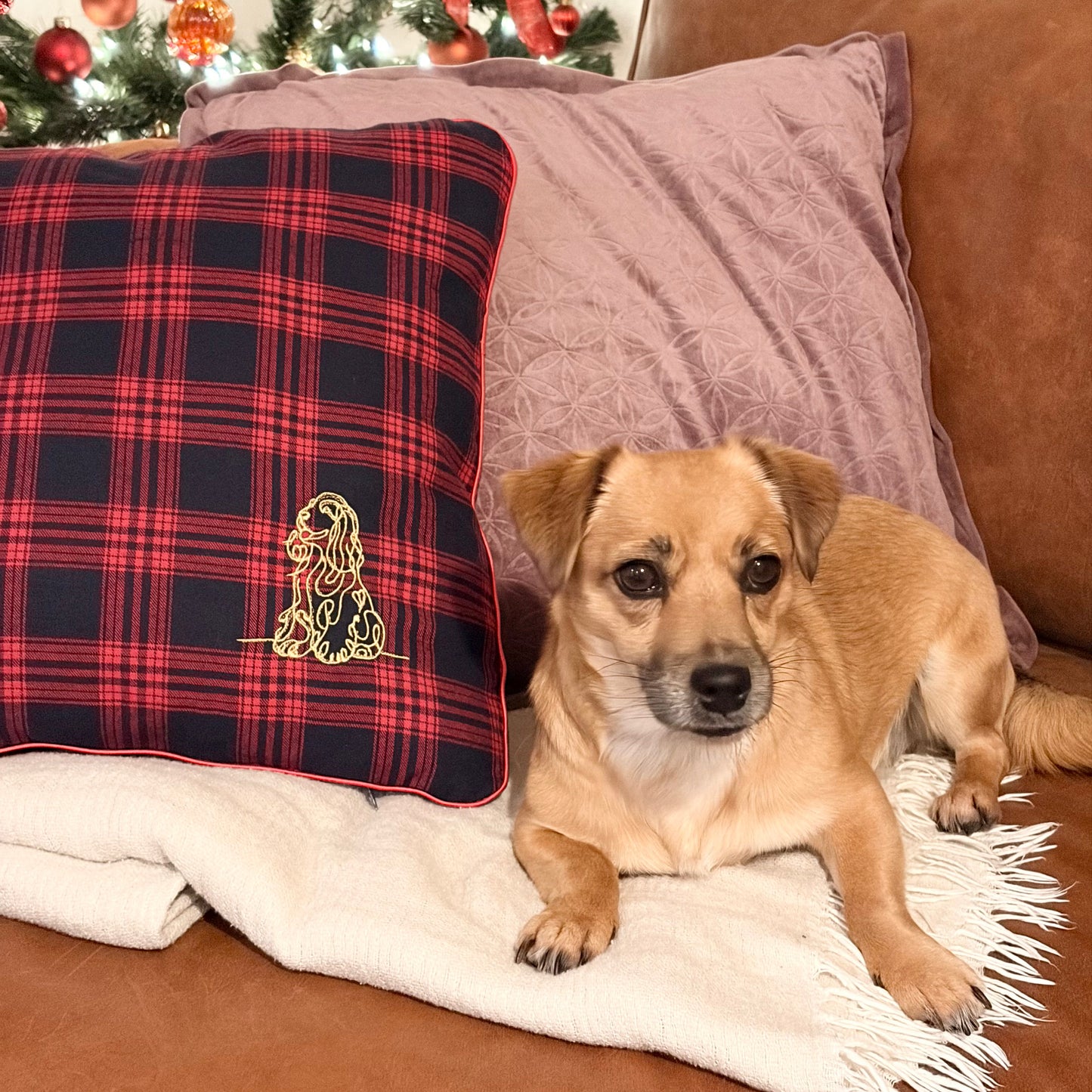 Cocker Spaniel Kussen #1