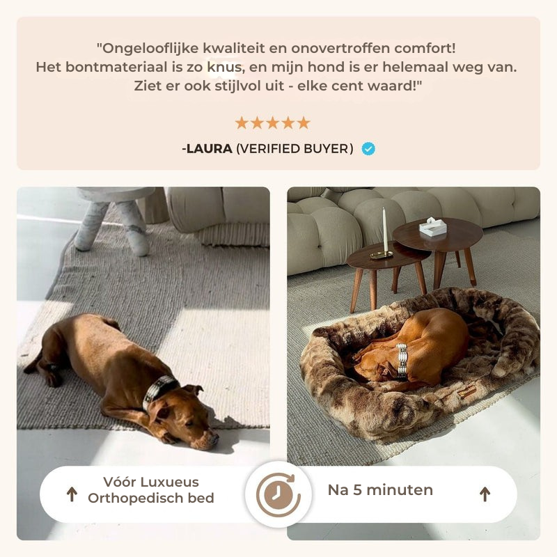 Luxe orthopedisch bed