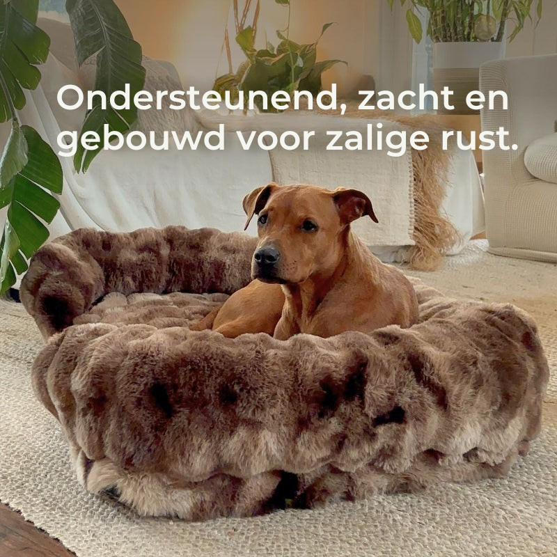 Luxe orthopedisch bed