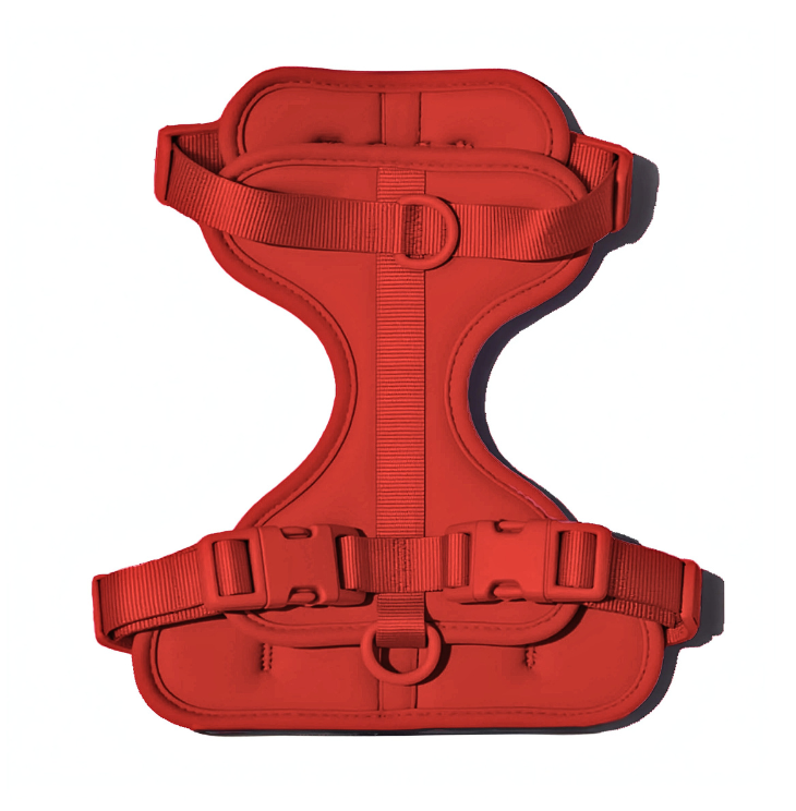 Zycon® Techel - Riem