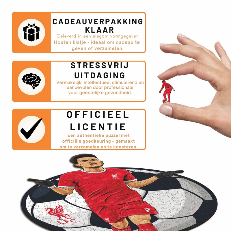 Luis Díaz - Houten puzzel