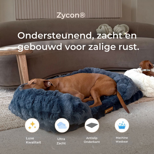 Luxe orthopedisch bed