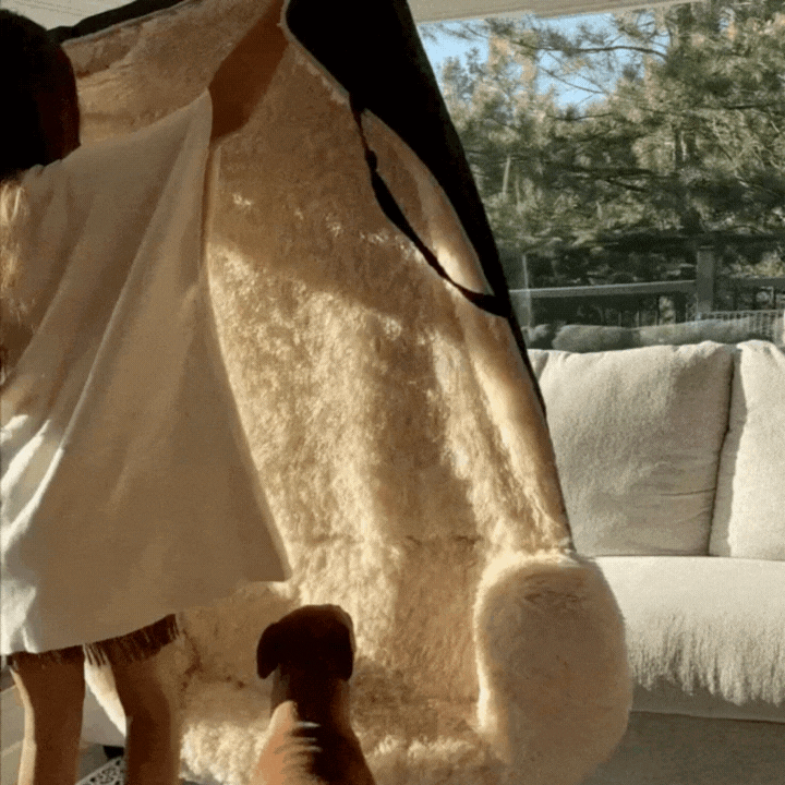 Comfortabel nest: de nieuwe beste vriend van uw hond