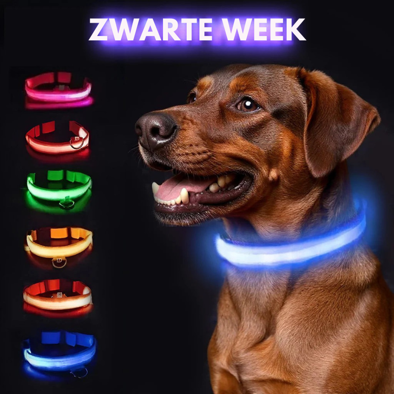 Lichtgevende hondenhalsband
